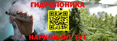 дурь Будённовск