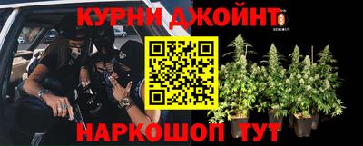 ГАЛЛЮЦИНОГЕННЫЕ ГРИБЫ Бузулук