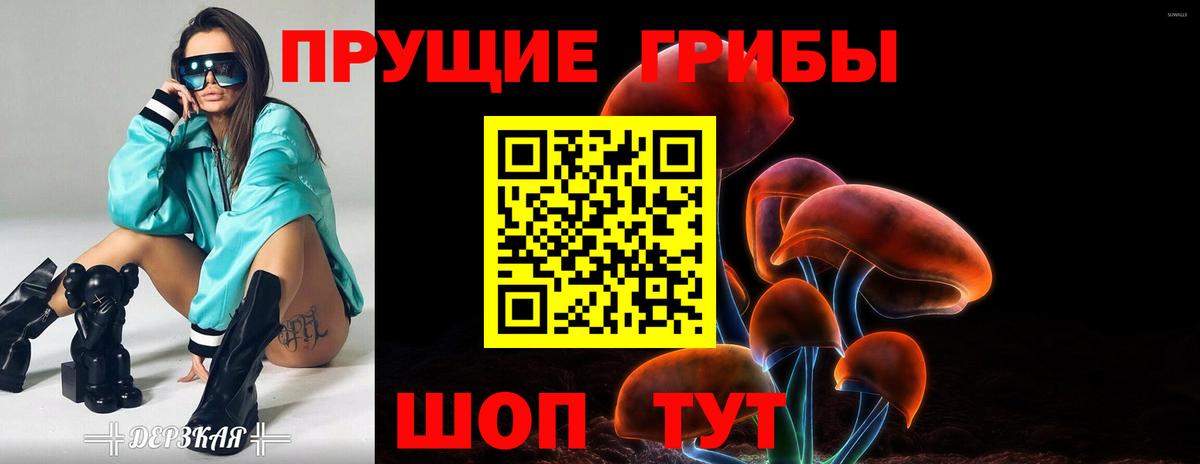 Удомля  Псилоцибиновые грибы Cubensis  Вход с VPN  Галлюциногенные грибы мицелий 